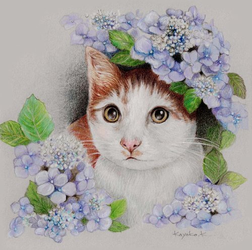 Kayoko 作品